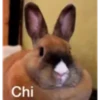 Chi