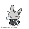 All rabbits 7