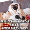 4.22 Relax Dont Worry Op Pe # 12