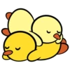 Duckie and Duck 15