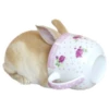 ₍ᐢ. .ᐢ₎ 5