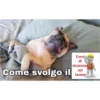 Come svolgo il
Corsi
di
sicurezza
sul
lavoro