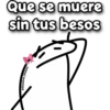 Te Buscaré Bandido 5