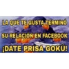 9.11 Oscarr tit dragon # 11