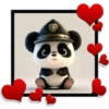 Panda ️1 Clásica 13