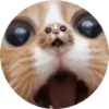 ANIMALITOS2 13