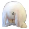 ₍ᐢ. .ᐢ₎ 6