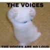Cats1 19