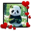Panda ️1 Clásica 16