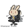 All rabbits 8