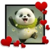 Panda ️1 Clásica 17