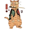 Gatitos Orientales❥ ︎ͫ2 Clásica 16