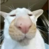 Shitpost (18) 20