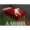 12.2 Cansado BuenasN Mimir 20