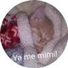 12.2 Cansado BuenasN Mimir 21