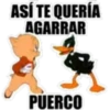 4.20 Comida Pig ## 18