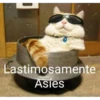 Lastimosamente Asies