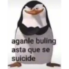 Shitpost (18) 22