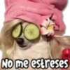 4.22 Relax Dont Worry Op Pe # 23