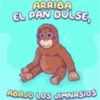 4.20 Comida Pig ## 20