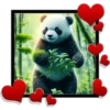 Panda ️1 Clásica 21