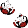 Gatitos Orientales❥ ︎ͫ2 Clásica 22
