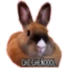 CHI CHENOOOL