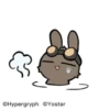 All rabbits 13