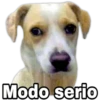 5.12 Serio 24