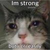 Cats1 24