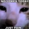 Cats1 25