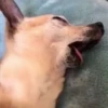12.2 Cansado Dormido -- 16