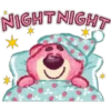 NIGHT NIGHT