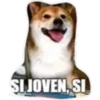 SI JOVEN, SI