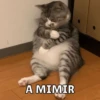 12.2 Cansado BuenasN Mimir 24