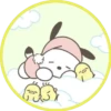 Pochacco ✺2 27