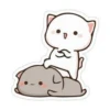 Mochi peach cat 20