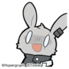 All rabbits 16