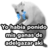4.20 Comida Pig ## 26