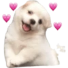 7.4 Corazon 28