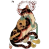 Gatitos Orientales❥ ︎ͫ2 Clásica 29