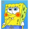 bob 29
