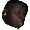 Sus 29