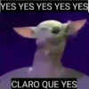 YES YES YES YES YES CLARO QUE YES