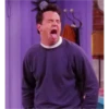 friends 30