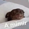 12.2 Cansado BuenasN Mimir 27