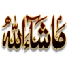 کاشانه