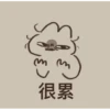 Duck 1 6