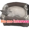 No me interesa