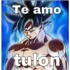 Te amo tulon